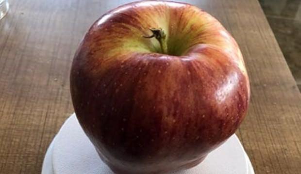 Bu elma görenleri hayrete düşürüyor