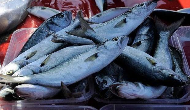 Çanakkale Balık Hali