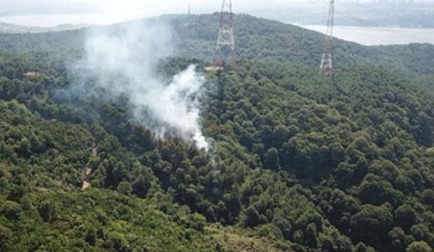 Beykoz'da orman yangını