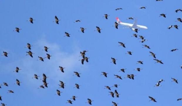 İstanbul semalarında göç alarmı!