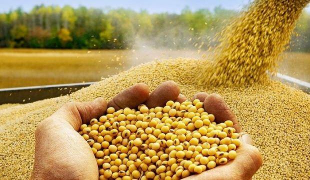 Resmen açıklandı! Yem fiyatlarına indirim