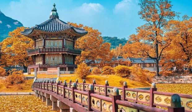 Vize yok! Güney Kore’ye nasıl gidilir? Nereler gezilir? 