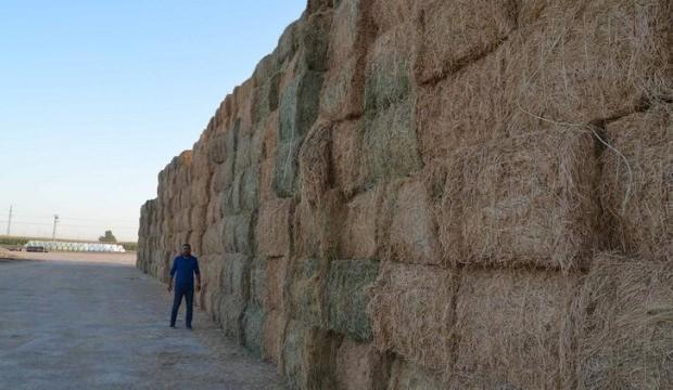 Aksaray'da üretilip, Ortadoğu'ya gönderiliyor