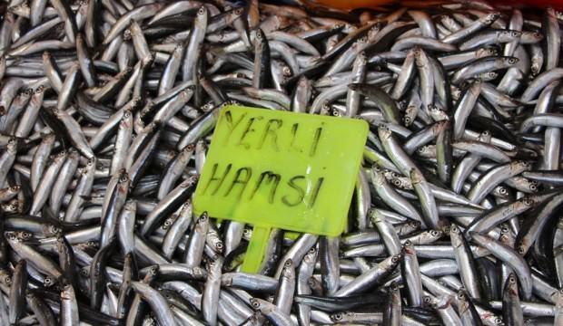 Bandırmalı balıkçıların yüzünü hamsi güldürdü