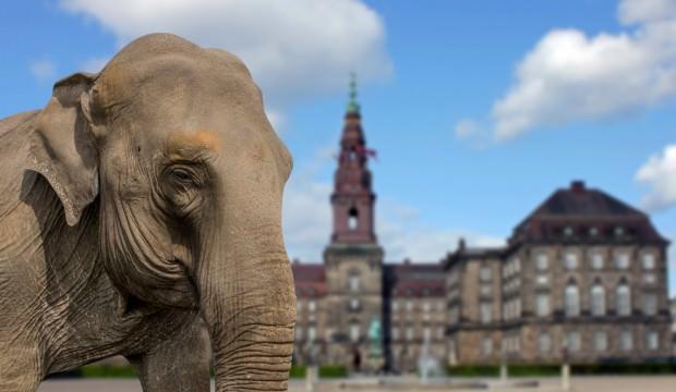 Sirk fili olmayanlar için Danimarka’ya siyasal gezi rehberi