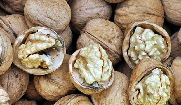 Tescilli "Şebin cevizi"nde yüksek rekolte