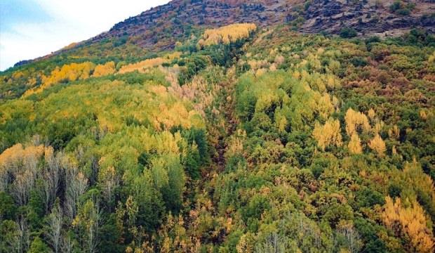 Tunceli ormanları sonbahar renkleriyle bir başka güzel