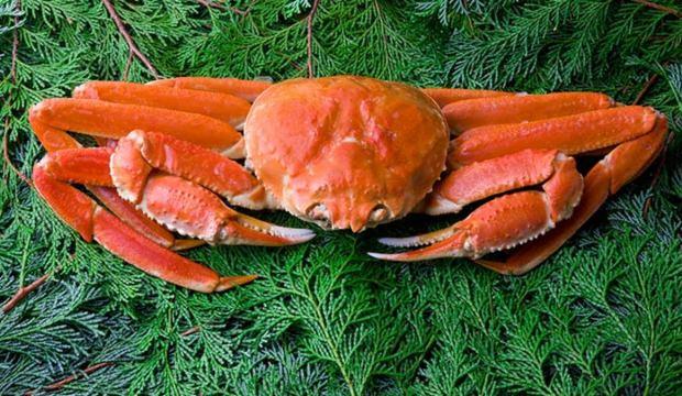 Japonya'da rekor fiyat: Tam 46 bin dolara satıldı!