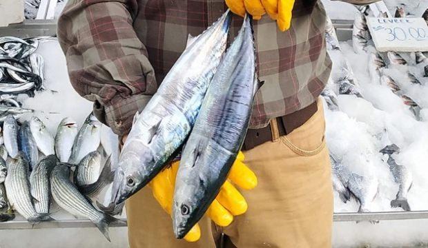 Fiyatı gören şaştı kaldı! Tanesi 40 TL'den satılıyor