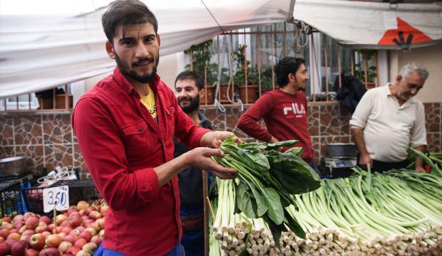 Ispanaklar elde kaldı, zararına bile satılamıyor