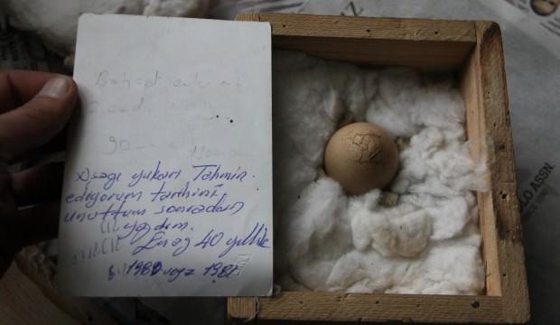 Bu yumurtayı 40 yıldır saklıyor! Sebebini duyan inanamıyor