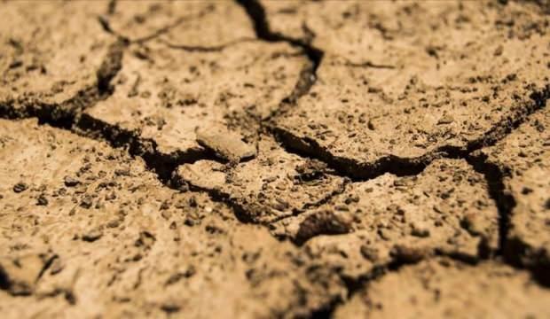 Dünya her yıl 24 milyar ton toprak kaybediyor