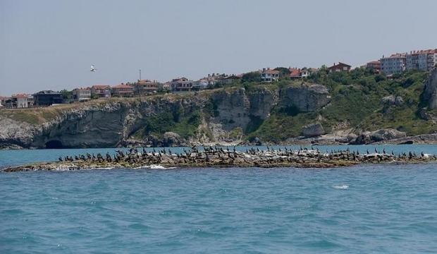 İBB, ünlü sahilin parkını 22.7 milyon TL'den satışa çıkardı