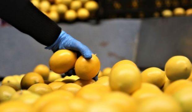 Türkiye 74 ülkeye sattı! En çok Rusya aldı