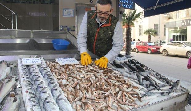Hamsi ve palamudun yerini dip balıkları aldı