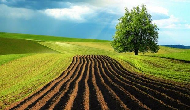 Tarım arazileri ve 2B taşınmazlarının satış başvuruları için son 5 gün