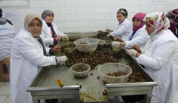 Aydın'da yapılıyor, Fransızlar bayılıyor! Kilosu 7 TL