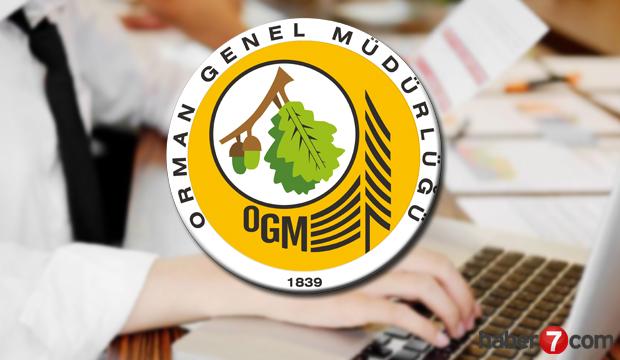 Orman Genel Müdürlüğü memur alımı yapıyor! Başvuru şartları neler?