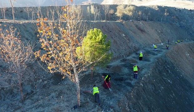 İlçenin yeri değişiyor! Taşınma ağaçlardan başladı