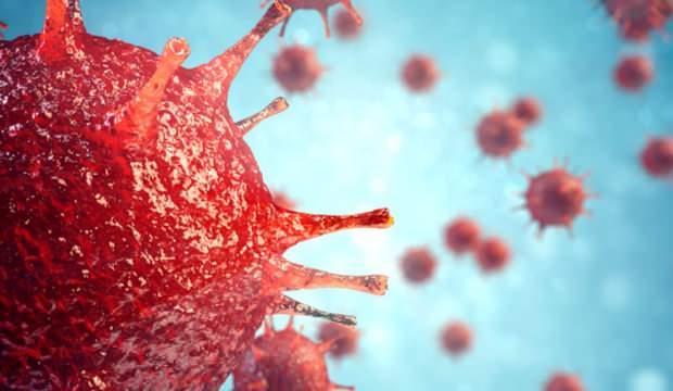 DSÖ'den koronavirüs açıklaması: Hata yaptık!