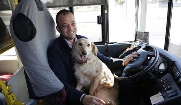 Soğuk havadan dolayı üşüyen köpek otobüse sığındı