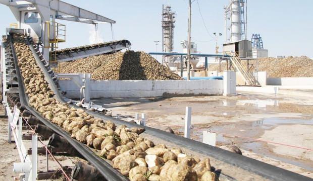 Türkşeker'e ait taşınmazlar kiralanacak