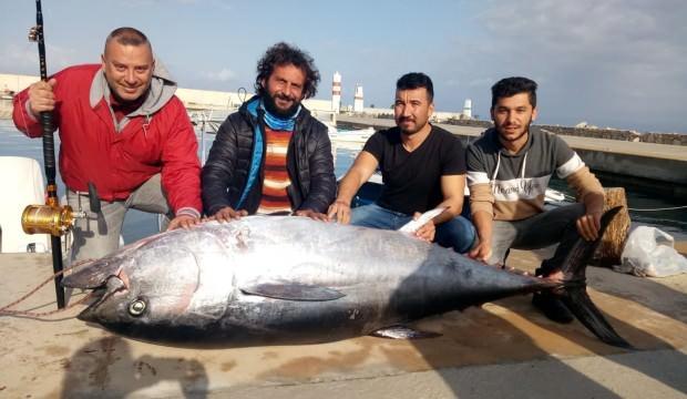 Dev orkinos, Türk balıkçıları Yunanistan'a sürükledi
