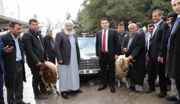 Bahçeli’nin hediye ettiği klasik otomobil için kurban kestiler