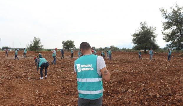 Hükümlülerin 'Dikili ağacı' 2,5 milyona yaklaştı
