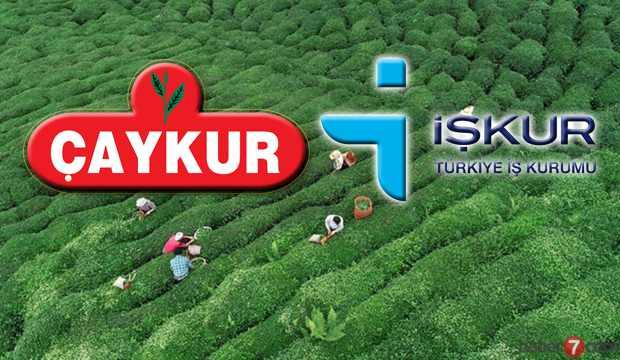 ÇAYKUR kura ile işçi alımı yapıyor! Başvurular İŞKUR üzerinden alınıyor
