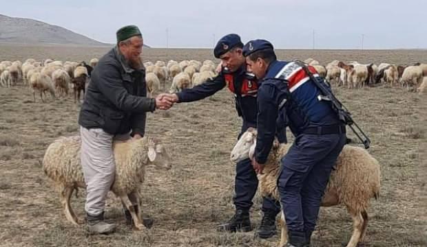 40 koyun çalan Rus uyruklu hırsız yakalandı