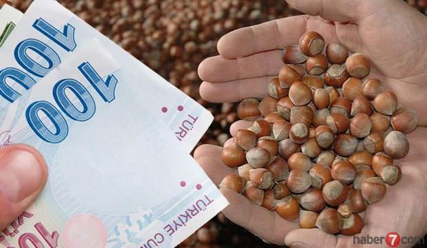 findik destek odemeleri ne zaman