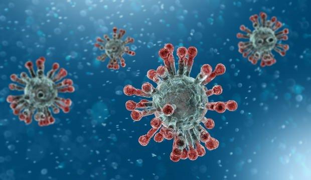 Corona virüsü nasıl bitebilir? İşte Korona virüsünü yok edebilecek 3 yol