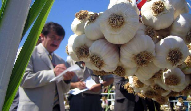 Coronavirüs sonrası 50 yılın en yüksek fiyatlarını gördü