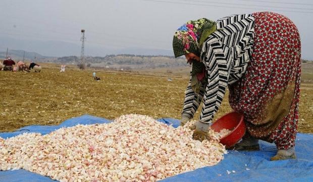 Koronavirüsü ateşini yükseltti: 60 TL’ye satılmaya başlandı