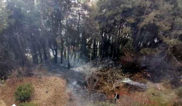 Manavgat'ta endişelendiren orman yangını