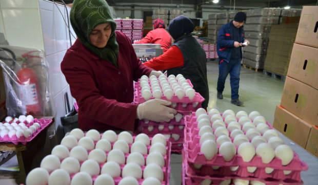 Yumurta üreticileri için yeni kapı