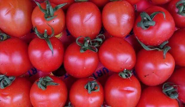 Domates ihracatı ilk çeyrekte yüzde 10 arttı