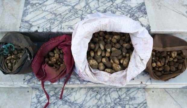 Salep soğanı toplayanlara 307 bin TL'lik dudak uçuklatan ceza