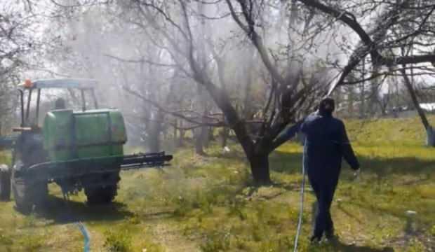 Evden çıkamayan çiftçinin kayısı ağaçları ilaçlandı