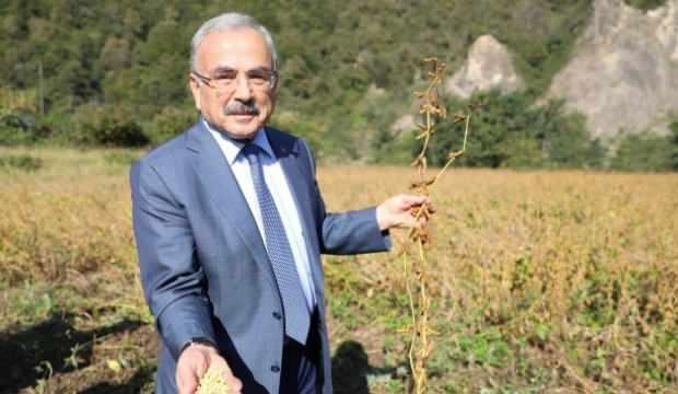 Ordu'da ‘sözleşmeli tarım' atağı