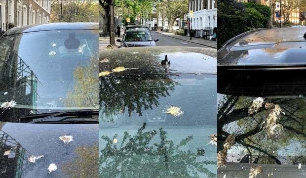 Ford'dan kuş pisliğine ilginç çözüm