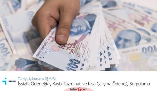 E Devlet Kisa Calisma Odenegi Sorgulama Ekrani Kac Tl Odeme Yapilacak Ekonomi Haberleri Haber7