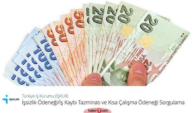 Kisa Calisma Odenegi Parasi Yatmayanlar Ne Yapacak E Devlet Maas Sorgulama Guncel Haberleri