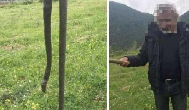 Öldürdüğü yılanı sosyal medyada paylaştı, cezayı yedi