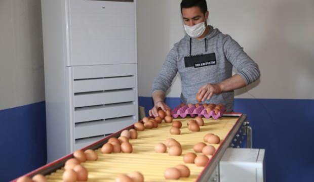 Yumurta üreticileri talebe yetişemiyor