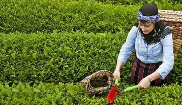 20 bin kişiye bir hafta karantina