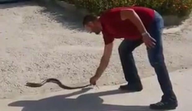 Evinin bahçesine giren yılanı eliyle yakaladı