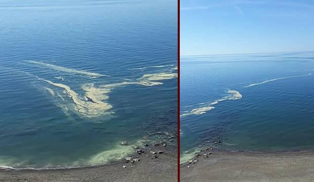 Mersin De Denizdeki Renk Degisikliginin Sebebi Ortaya Cikti Guncel Haberleri