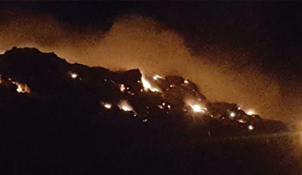 Antalya'da 2 dönüm ormanlık arazi kül oldu